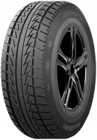 205/55R16 opona ARIVO Winmaster ARW 1 91H